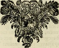 An illustration from Zederyke zinnebeelden : vertoont in konstplaten, door kragtige redeneeringen en maat-digten nutte van het menschelyke leven toegepast (1713)