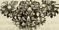 An illustration from Zederyke zinnebeelden : vertoont in konstplaten, door kragtige redeneeringen en maat-digten nutte van het menschelyke leven toegepast (1713)