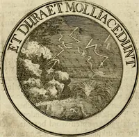 Picture 74 of 143 from Zederyke zinnebeelden : vertoont in konstplaten, door kragtige redeneeringen en maat-digten nutte van het menschelyke leven toegepast (1713), leaf 151