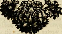 An illustration from Zederyke zinnebeelden : vertoont in konstplaten, door kragtige redeneeringen en maat-digten nutte van het menschelyke leven toegepast (1713)