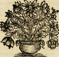 An illustration from Zederyke zinnebeelden : vertoont in konstplaten, door kragtige redeneeringen en maat-digten nutte van het menschelyke leven toegepast (1713)