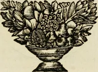An illustration from Zederyke zinnebeelden : vertoont in konstplaten, door kragtige redeneeringen en maat-digten nutte van het menschelyke leven toegepast (1713)