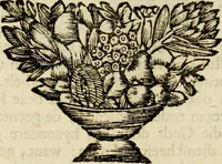 Picture 112 of 143 from Zederyke zinnebeelden : vertoont in konstplaten, door kragtige redeneeringen en maat-digten nutte van het menschelyke leven toegepast (1713), leaf 217