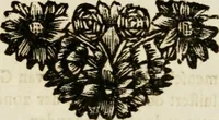 An illustration from Zederyke zinnebeelden : vertoont in konstplaten, door kragtige redeneeringen en maat-digten nutte van het menschelyke leven toegepast (1713)