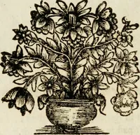An illustration from Zederyke zinnebeelden : vertoont in konstplaten, door kragtige redeneeringen en maat-digten nutte van het menschelyke leven toegepast (1713)