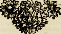 An illustration from Zederyke zinnebeelden : vertoont in konstplaten, door kragtige redeneeringen en maat-digten nutte van het menschelyke leven toegepast (1713)