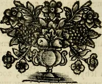An illustration from Zederyke zinnebeelden : vertoont in konstplaten, door kragtige redeneeringen en maat-digten nutte van het menschelyke leven toegepast (1713)