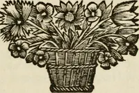 An illustration from Zederyke zinnebeelden : vertoont in konstplaten, door kragtige redeneeringen en maat-digten nutte van het menschelyke leven toegepast (1713)