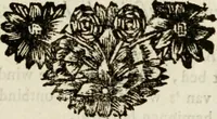 An illustration from Zederyke zinnebeelden : vertoont in konstplaten, door kragtige redeneeringen en maat-digten nutte van het menschelyke leven toegepast (1713)