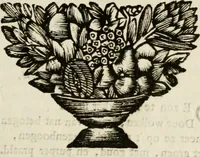 An illustration from Zederyke zinnebeelden : vertoont in konstplaten, door kragtige redeneeringen en maat-digten nutte van het menschelyke leven toegepast (1713)