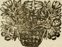 An illustration from Zederyke zinnebeelden : vertoont in konstplaten, door kragtige redeneeringen en maat-digten nutte van het menschelyke leven toegepast (1713)