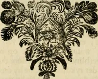 An illustration from Zederyke zinnebeelden : vertoont in konstplaten, door kragtige redeneeringen en maat-digten nutte van het menschelyke leven toegepast (1713)