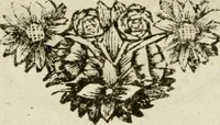 An illustration from Zederyke zinnebeelden : vertoont in konstplaten, door kragtige redeneeringen en maat-digten nutte van het menschelyke leven toegepast (1713)