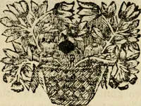An illustration from Zederyke zinnebeelden : vertoont in konstplaten, door kragtige redeneeringen en maat-digten nutte van het menschelyke leven toegepast (1713)