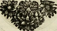 An illustration from Zederyke zinnebeelden : vertoont in konstplaten, door kragtige redeneeringen en maat-digten nutte van het menschelyke leven toegepast (1713)