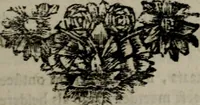 An illustration from Zederyke zinnebeelden in hondert kunstplaten vertoont (1717)