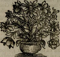 Picture 88 of 138 from Zederyke zinnebeelden in hondert kunstplaten vertoont (1717), leaf 181
