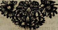 Picture 99 of 138 from Zederyke zinnebeelden in hondert kunstplaten vertoont (1717), leaf 202