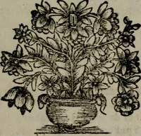 An illustration from Zederyke zinnebeelden in hondert kunstplaten vertoont (1717)