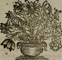 An illustration from Zederyke zinnebeelden in hondert kunstplaten vertoont (1717)