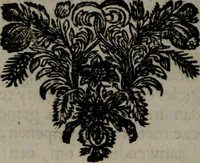 An illustration from Zederyke zinnebeelden in hondert kunstplaten vertoont (1717)