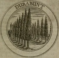 Picture 31 of 138 from Zederyke zinnebeelden in hondert kunstplaten vertoont (1717), leaf 74
