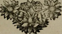 Picture 38 of 138 from Zederyke zinnebeelden in hondert kunstplaten vertoont (1717), leaf 88