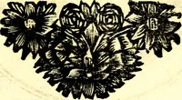 Picture 49 of 148 from Zederyke zinnebeelden, vertoont in konstplaten, door kragtige redeneeringen en maat-digt ten nutte van het menschelyke leven toegepast (1713), leaf 100