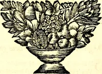 An illustration from Zederyke zinnebeelden, vertoont in konstplaten, door kragtige redeneeringen en maat-digt ten nutte van het menschelyke leven toegepast (1713)