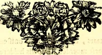 Picture 77 of 148 from Zederyke zinnebeelden, vertoont in konstplaten, door kragtige redeneeringen en maat-digt ten nutte van het menschelyke leven toegepast (1713), leaf 154