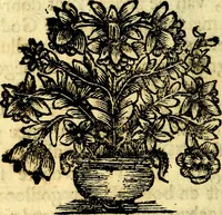 An illustration from Zederyke zinnebeelden, vertoont in konstplaten, door kragtige redeneeringen en maat-digt ten nutte van het menschelyke leven toegepast (1713)