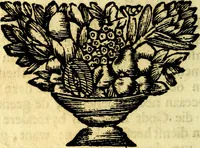 An illustration from Zederyke zinnebeelden, vertoont in konstplaten, door kragtige redeneeringen en maat-digt ten nutte van het menschelyke leven toegepast (1713)