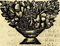 Picture 124 of 148 from Zederyke zinnebeelden, vertoont in konstplaten, door kragtige redeneeringen en maat-digt ten nutte van het menschelyke leven toegepast (1713), leaf 242