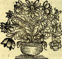 An illustration from Zederyke zinnebeelden, vertoont in konstplaten, door kragtige redeneeringen en maat-digt ten nutte van het menschelyke leven toegepast (1713)