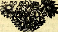 Picture 17 of 148 from Zederyke zinnebeelden, vertoont in konstplaten, door kragtige redeneeringen en maat-digt ten nutte van het menschelyke leven toegepast (1713), leaf 47