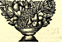 An illustration from Zederyke zinnebeelden, vertoont in konstplaten, door kragtige redeneeringen en maat-digt ten nutte van het menschelyke leven toegepast (1713)