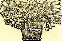 An illustration from Zederyke zinnebeelden, vertoont in konstplaten, door kragtige redeneeringen en maat-digt ten nutte van het menschelyke leven toegepast (1713)