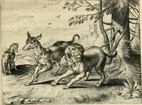 Picture 15 of 29 from Zeeusche nachtegael, ende, Des selfs dryderley gesang : geheel anders inder waerheyt verthoont, als de selve voor desen by sommighe uyt enckel mis-verstant verkeerdelijk is gheoordeelt (1623), leaf 136