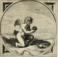 Picture 9 of 29 from Zeeusche nachtegael, ende, Des selfs dryderley gesang : geheel anders inder waerheyt verthoont, als de selve voor desen by sommighe uyt enckel mis-verstant verkeerdelijk is gheoordeelt (1623), leaf 56