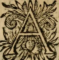 Picture 21 of 36 from Zeeusche nachtegael : ende des selfs driederley ghesang : geheel anders in der waerheydt verthoont, als de selve voor desen by sommige uyt enckel misverstant verkeerdelijck is gheoordeelt (1633), leaf 158
