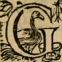 An illustration from Zeeusche nachtegael : ende des selfs driederley ghesang : geheel anders in der waerheydt verthoont, als de selve voor desen by sommige uyt enckel misverstant verkeerdelijck is gheoordeelt (1633)
