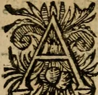 An illustration from Zeeusche nachtegael : ende des selfs driederley ghesang : geheel anders in der waerheydt verthoont, als de selve voor desen by sommige uyt enckel misverstant verkeerdelijck is gheoordeelt (1633)