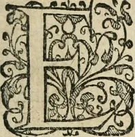An illustration from Zeevsche nachtegael, ende des selfs dryderley gesang, ... (1623)