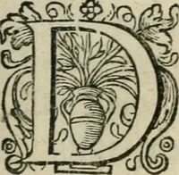 An illustration from Zeevsche nachtegael, ende des selfs dryderley gesang, ... (1623)