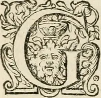 An illustration from Zeevsche nachtegael, ende des selfs dryderley gesang, ... (1623)