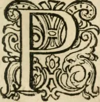 An illustration from Zeevsche nachtegael, ende des selfs dryderley gesang, ... (1623)
