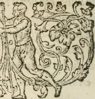 An illustration from Zeevsche nachtegael, ende des selfs dryderley gesang, ... (1623)