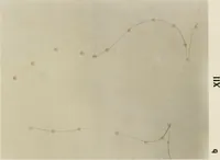 An illustration from Zehn Jahre Orthopädie und Röntgenologie 1896-1906 (1906)