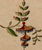 Picture 12 of 118 from Zeichen- Mahler- und Stickerbuch zur Selbstbelehrung für Damen, welche sich mit diesen Künsten beschäftigen (1795), leaf 44