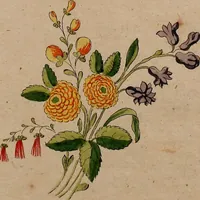 An illustration from Zeichen- Mahler- und Stickerbuch zur Selbstbelehrung für Damen, welche sich mit diesen Künsten beschäftigen (1795)